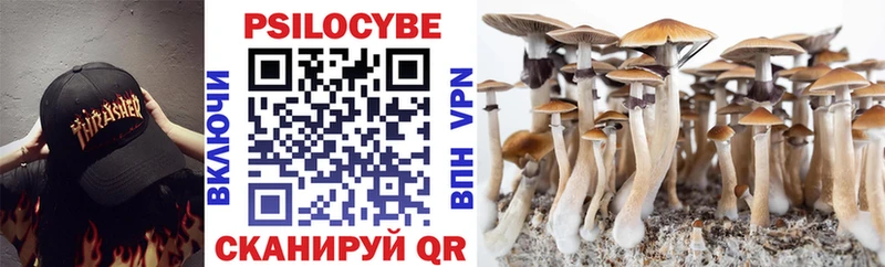 Псилоцибиновые грибы прущие грибы  купить наркоту  Казань 